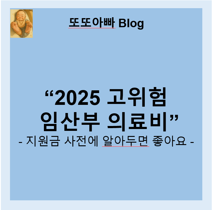 고위험 임산부 의료비